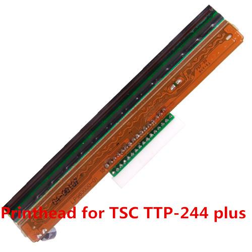 TTP 244Plus Head